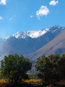 vallée de l'Elqui